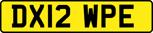 DX12WPE