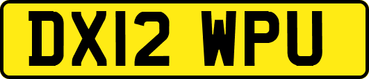 DX12WPU