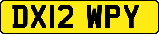 DX12WPY