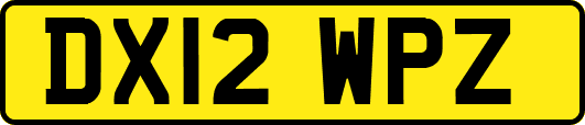 DX12WPZ