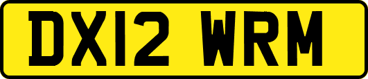 DX12WRM
