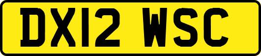 DX12WSC