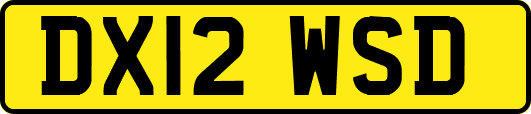 DX12WSD