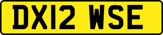 DX12WSE