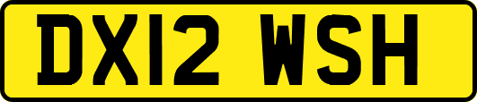 DX12WSH