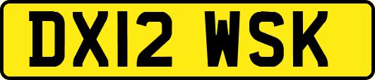 DX12WSK
