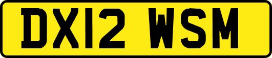 DX12WSM