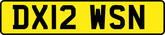 DX12WSN