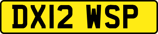 DX12WSP