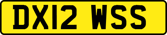 DX12WSS