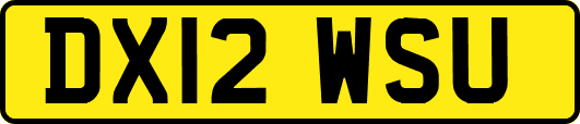 DX12WSU