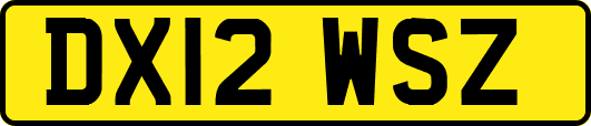 DX12WSZ