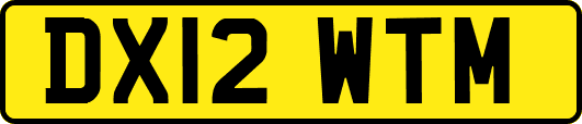 DX12WTM
