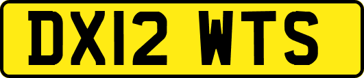 DX12WTS