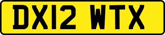 DX12WTX