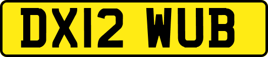DX12WUB