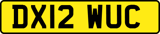 DX12WUC