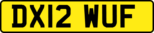 DX12WUF