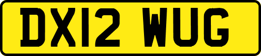 DX12WUG