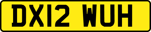 DX12WUH