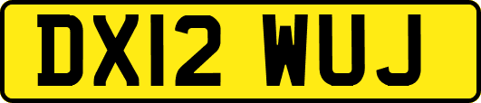 DX12WUJ