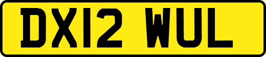 DX12WUL