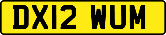 DX12WUM