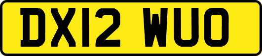 DX12WUO