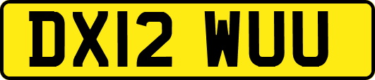 DX12WUU