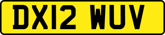DX12WUV
