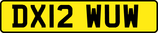 DX12WUW
