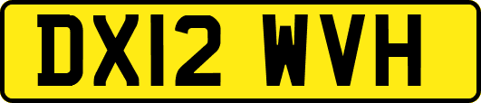 DX12WVH