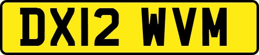 DX12WVM