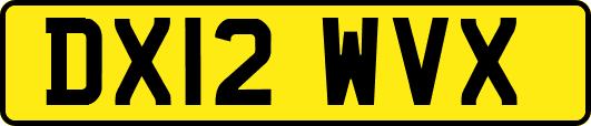DX12WVX