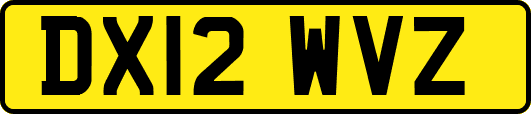 DX12WVZ