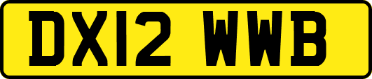 DX12WWB