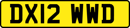 DX12WWD