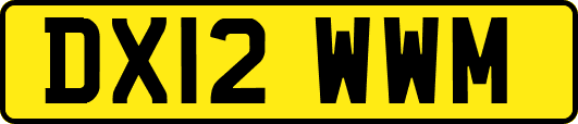 DX12WWM