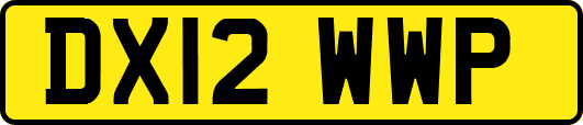 DX12WWP