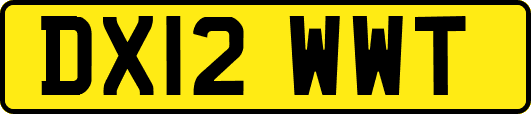 DX12WWT