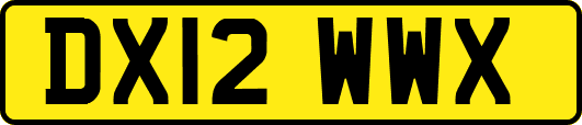 DX12WWX