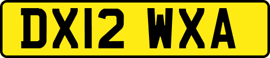 DX12WXA