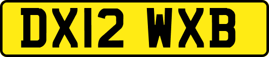 DX12WXB