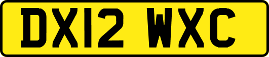 DX12WXC