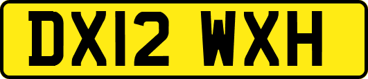 DX12WXH