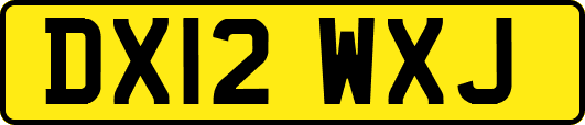 DX12WXJ