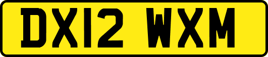 DX12WXM