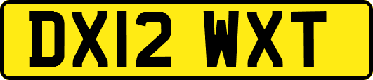 DX12WXT