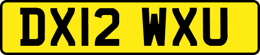 DX12WXU