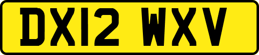 DX12WXV